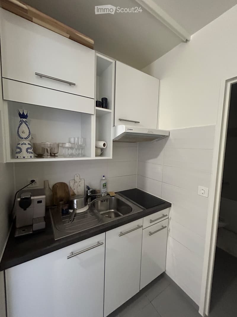 November Short-Term Sublet Perfect Between Two Homes (3)