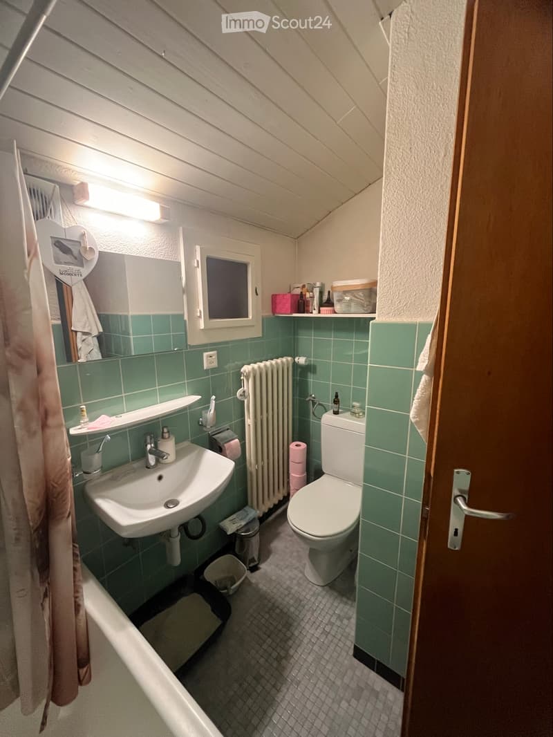 À louer appartement 2.5 pièces (3)