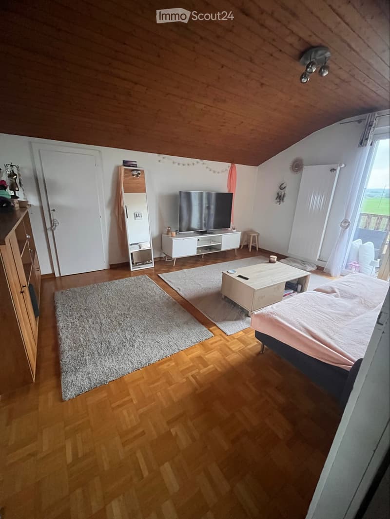 À louer appartement 2.5 pièces (2)