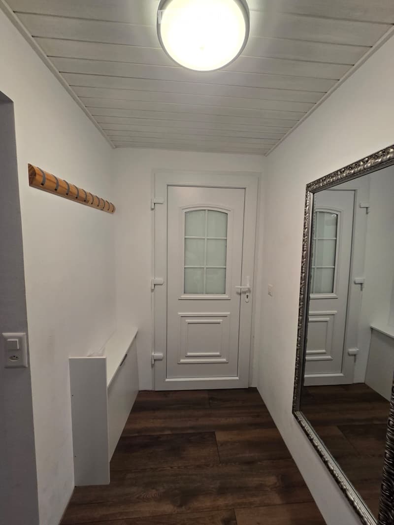 Appartement rénove 2.5 pc (4)