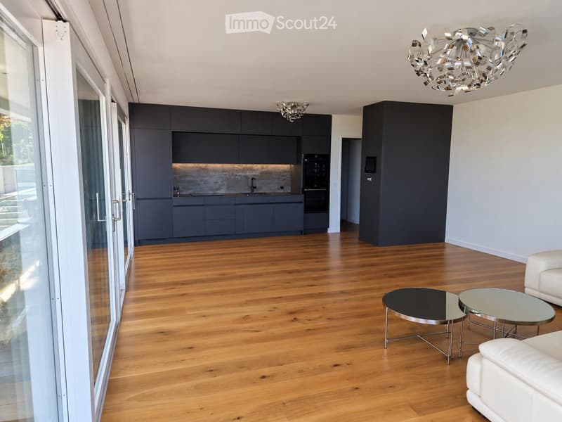Stunning lake & mountain views  modern apartment in Horgen (3)