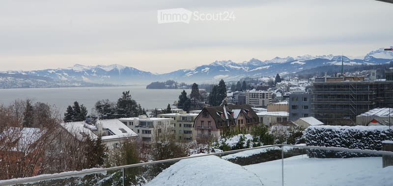 Stunning lake & mountain views  modern apartment in Horgen (2)
