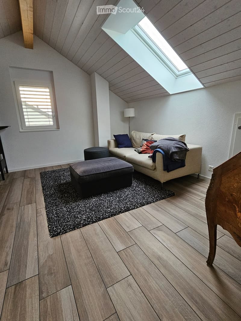 Reprise de bail Villa 6,5 pièces avec jardin à St-Livres (2)
