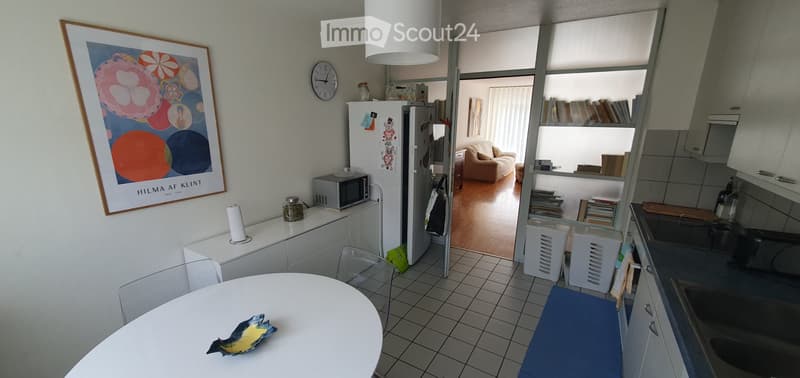URGENT REPRISE DE BAIL - Appartement 4.5 Pieces de 96m2 (1)
