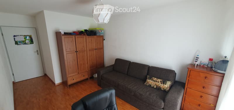 URGENT REPRISE DE BAIL - Appartement 4.5 Pieces de 96m2 (5)