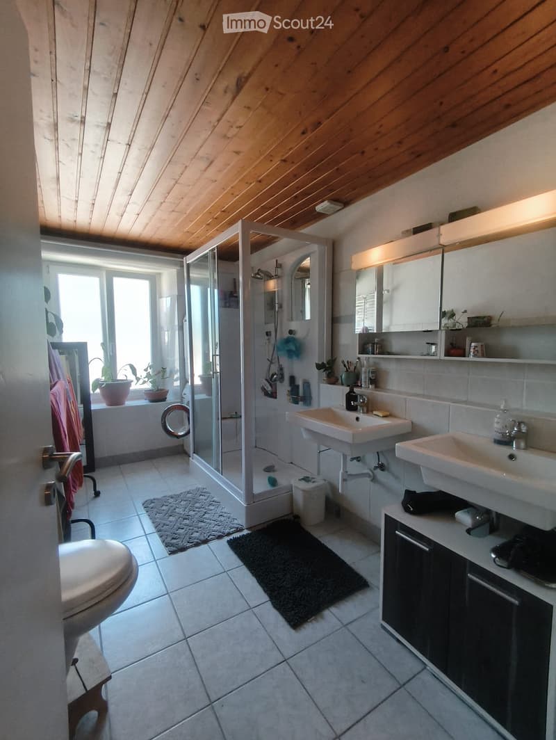 grand appartement 5,5 pièces (2)