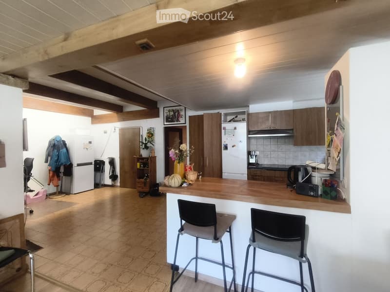 grand appartement 5,5 pièces (1)