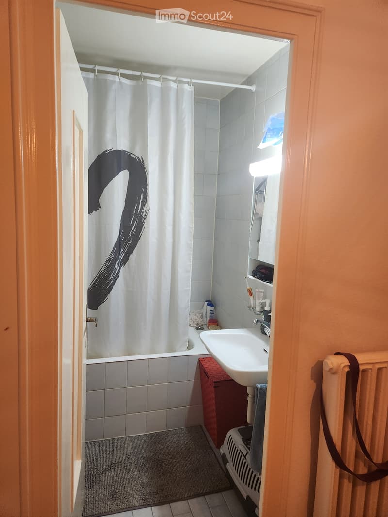 URGENT Studio 1 pièce 41m2 à Chailly (4)