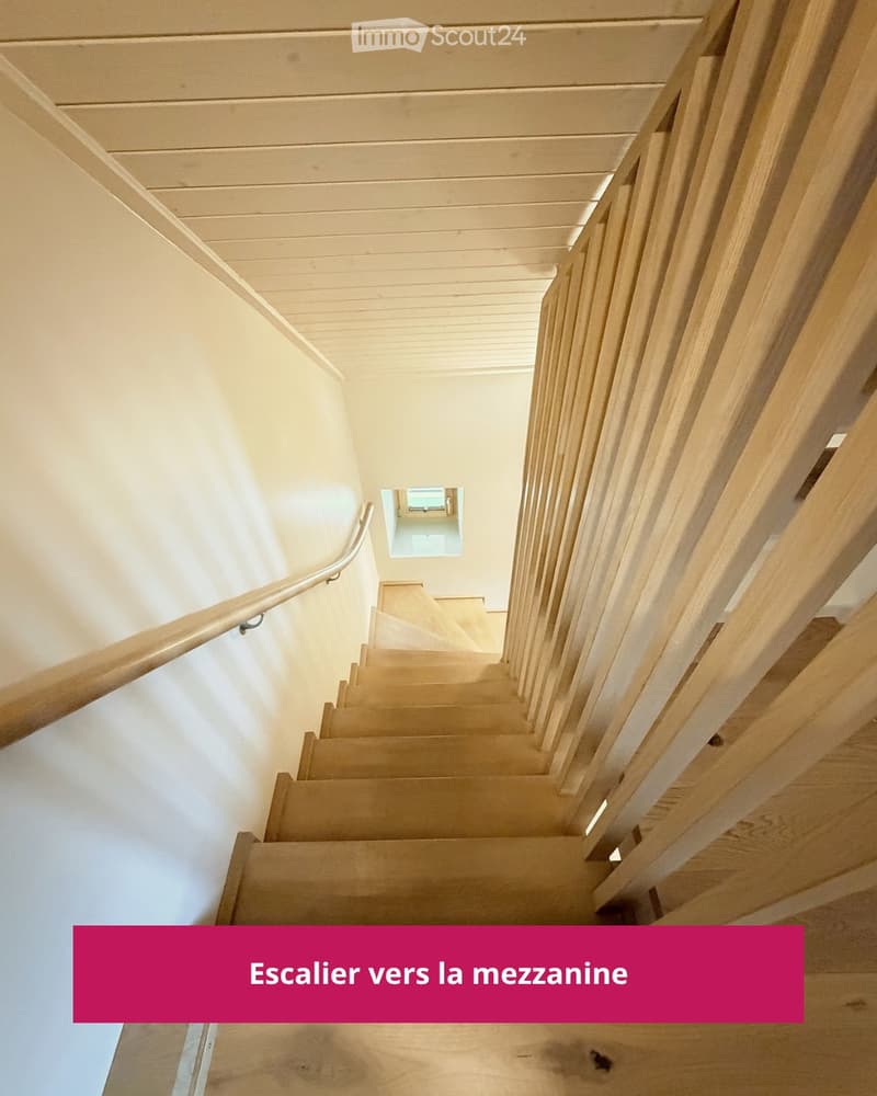 Reprise de bail  Duplex de 2 pièces en mezzanine. (4)