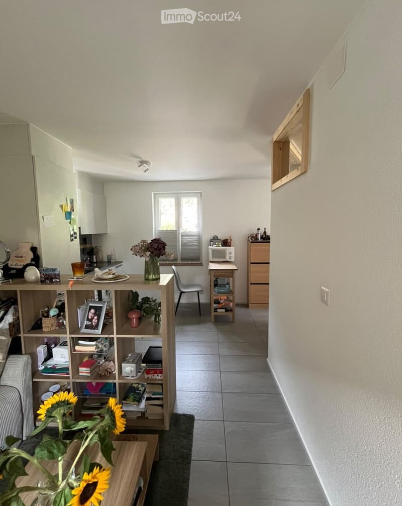 2,5 pièces à louer (2)