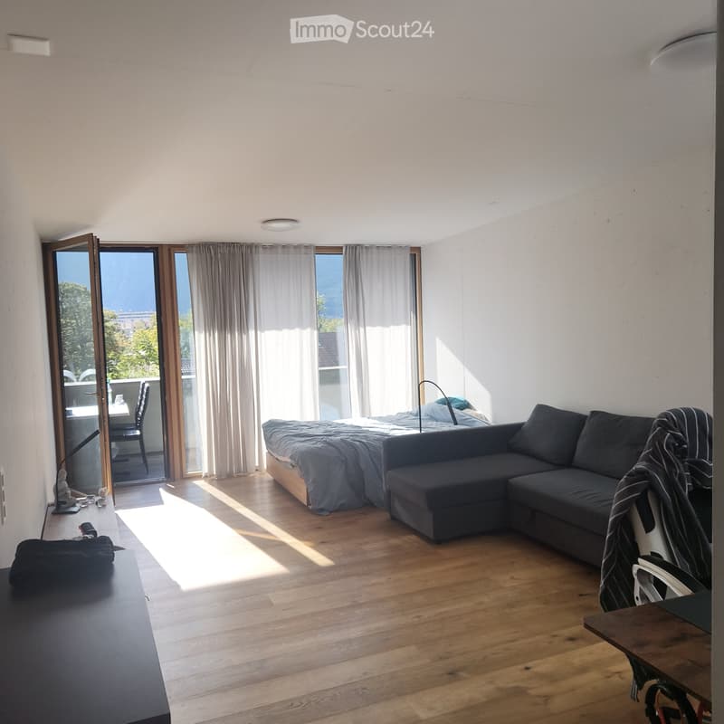 Studio de 50 m2 + terrasse + parc + cave (2)