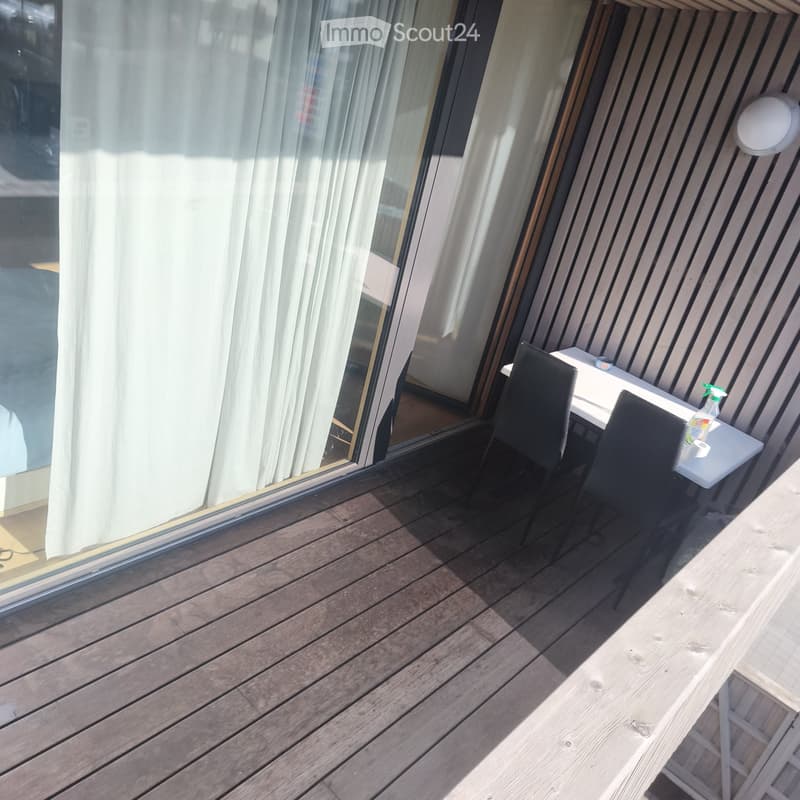 Studio de 50 m2 + terrasse + parc + cave (3)