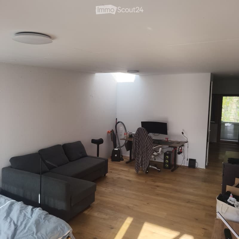 Studio de 50 m2 + terrasse + parc + cave (1)