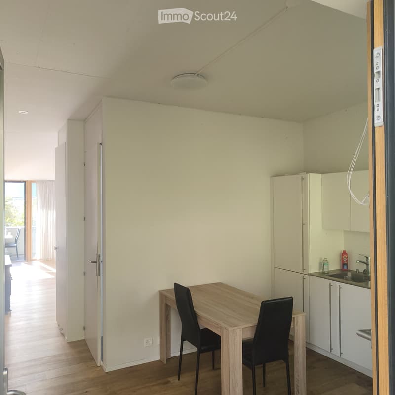 Studio de 50 m2 + terrasse + parc + cave (4)