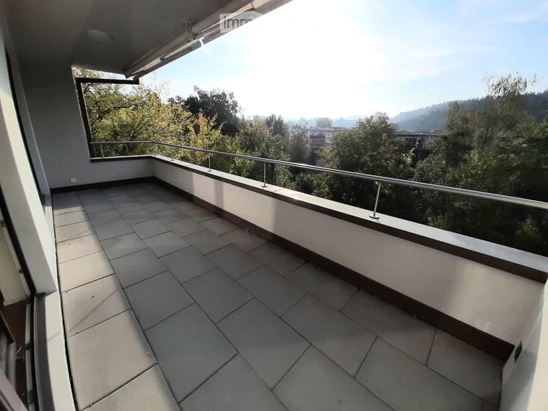 Moderne 2.5-Zimmer-Wohnung (3)