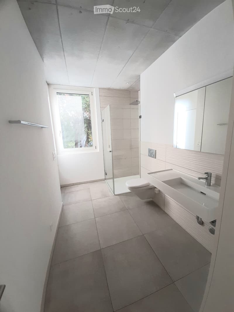 Moderne 2.5-Zimmer-Wohnung (4)