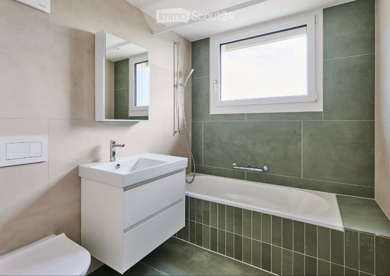 Penthouse Living in Adliswil with two Spacious Terraces! (5)