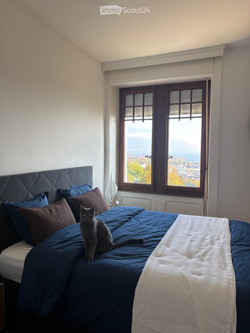 Appartement agréable à vivre avec belle vue ! (5)