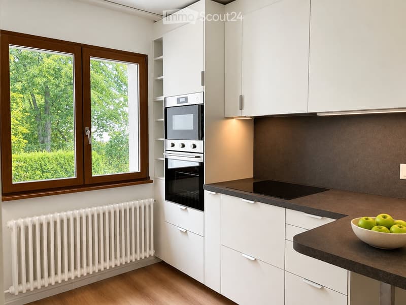 Maison 7 pièces rénovée avec jardin Chambésy disponible (3)