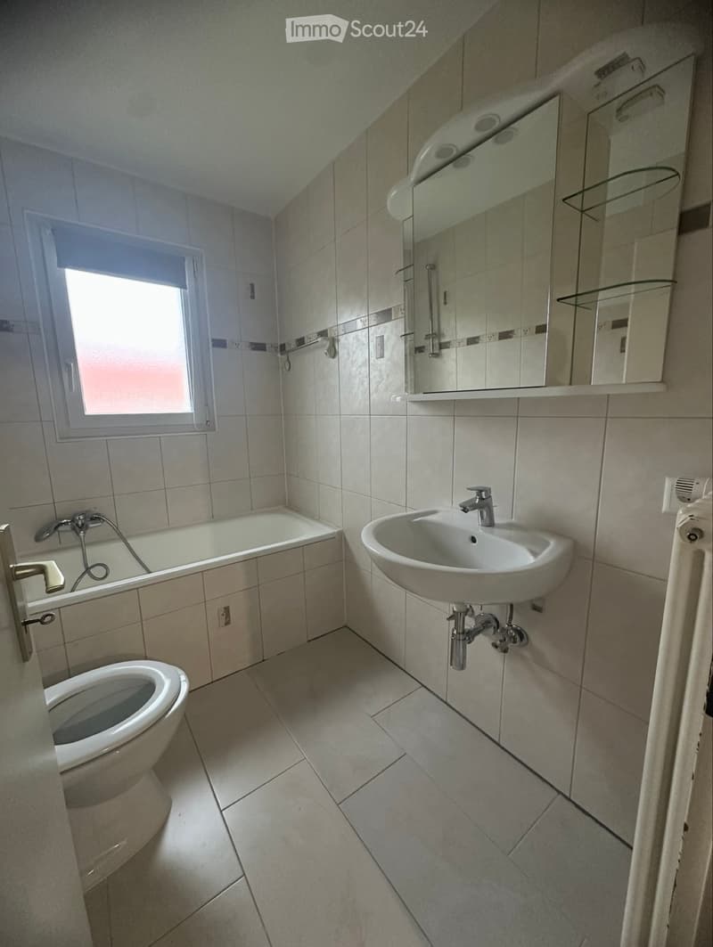 Appartement 4,5 pièces URGENT (5)