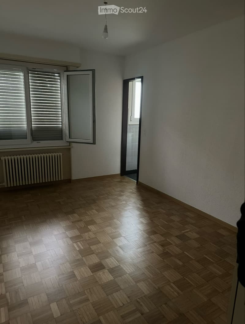 Appartement 4,5 pièces URGENT (4)