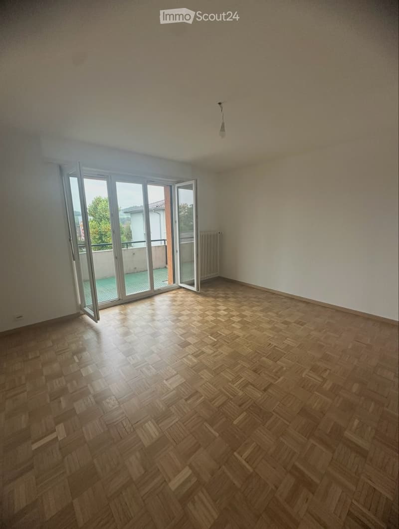 Appartement 4,5 pièces URGENT (1)
