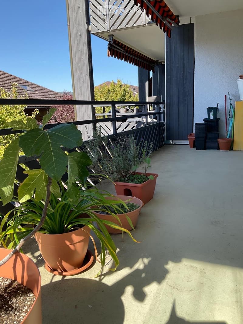 Helle 3.5 Zimmerwohnung mit 2 Balkonen (4)