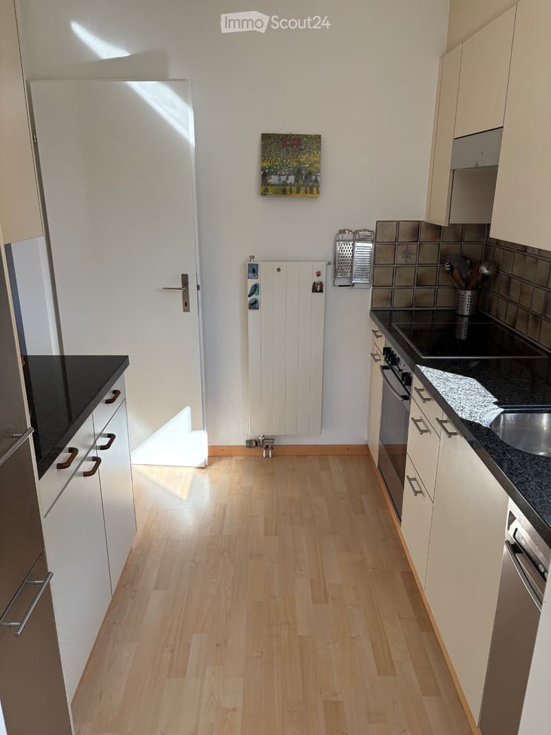 Helle 3.5 Zimmerwohnung mit 2 Balkonen (7)