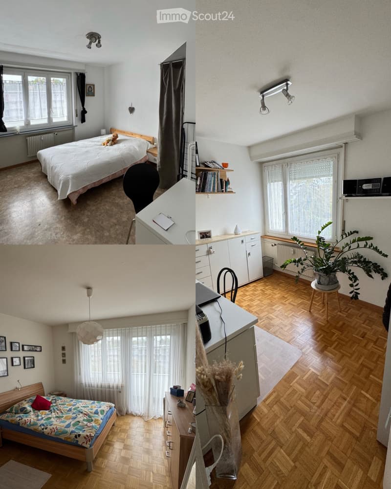Appartement 4.5 pièces à Fribourg (4)