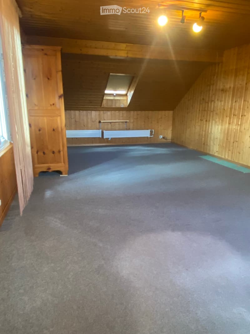 GRAND DUPLEX 7,5 pces 225m2 +dépôt meubles (3)