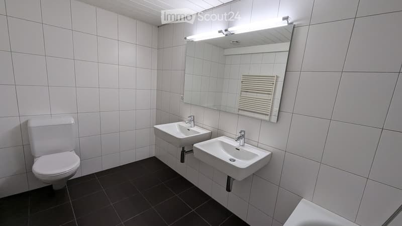 Ruhige, grosse 4 Zimmer-Wohnung, 1. Etage (8)