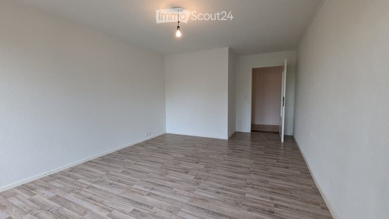 Ruhige, grosse 4 Zimmer-Wohnung, 1. Etage (5)