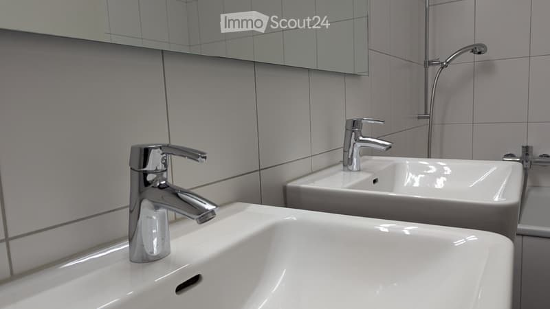 Ruhige, grosse 4 Zimmer-Wohnung, 1. Etage (7)