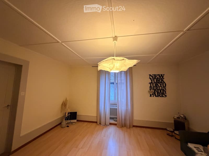 Grand appartement 5.5 pièces avec garage (3)