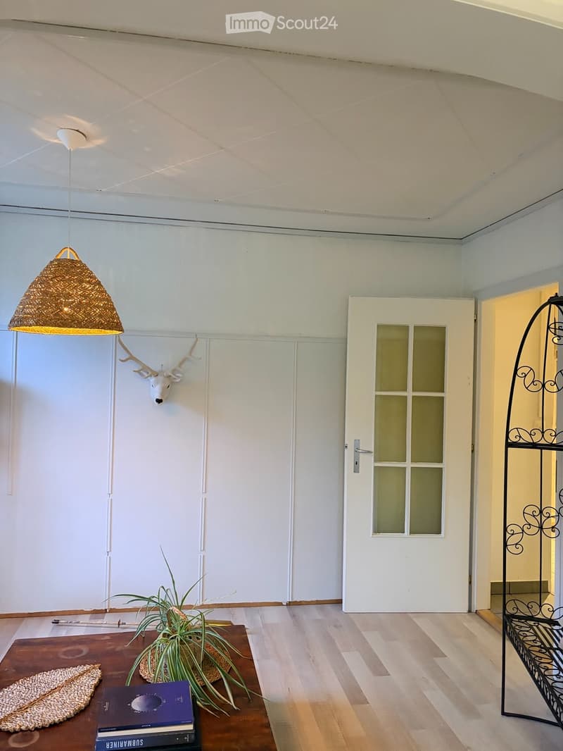 Grand appartement 5.5 pièces avec garage (5)
