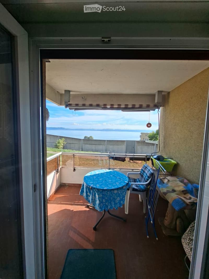 Grand appartement lumineux 2,5 pièces avec vue sur le lac (5)