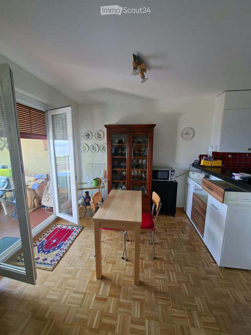 Grand appartement lumineux 2,5 pièces avec vue sur le lac (3)