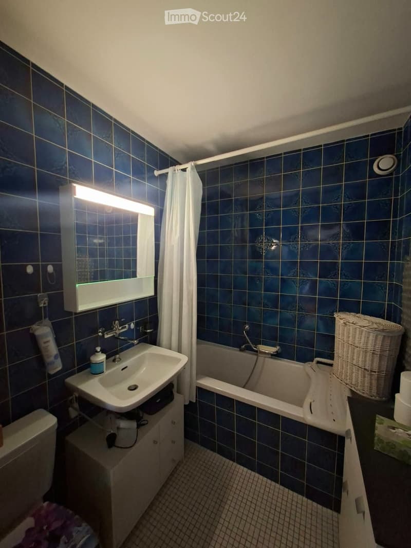 Grand appartement lumineux 2,5 pièces avec vue sur le lac (2)