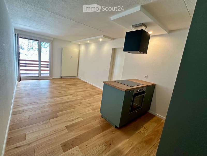 A louer appartement 2,5 pièces Anzère VS (2)