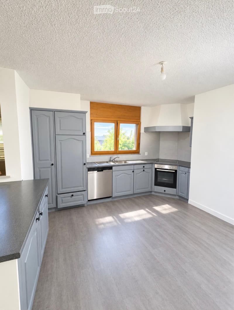 Appartement 3,5 pièces avec extérieur (2)