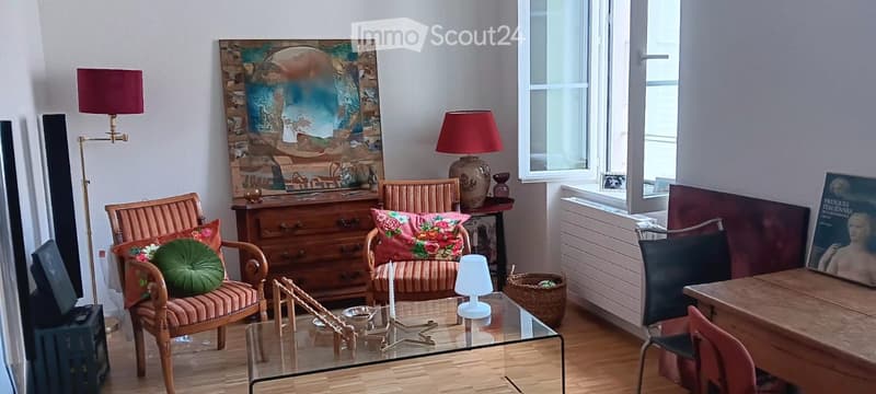 Appartement 1 pièce au coeur de Rolle (3)