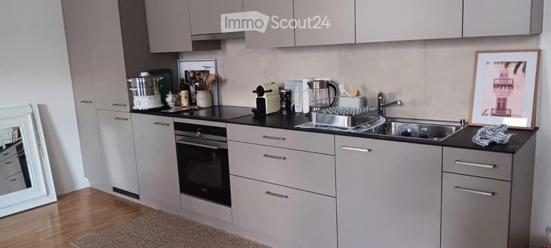 Appartement 1 pièce au coeur de Rolle (4)