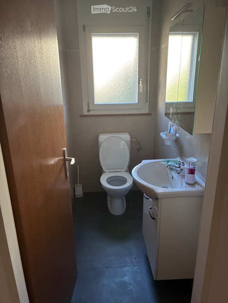 Appartement 4,5 pièces (3)