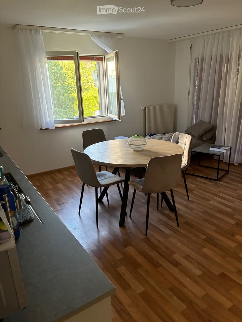 Appartement 4,5 pièces (1)