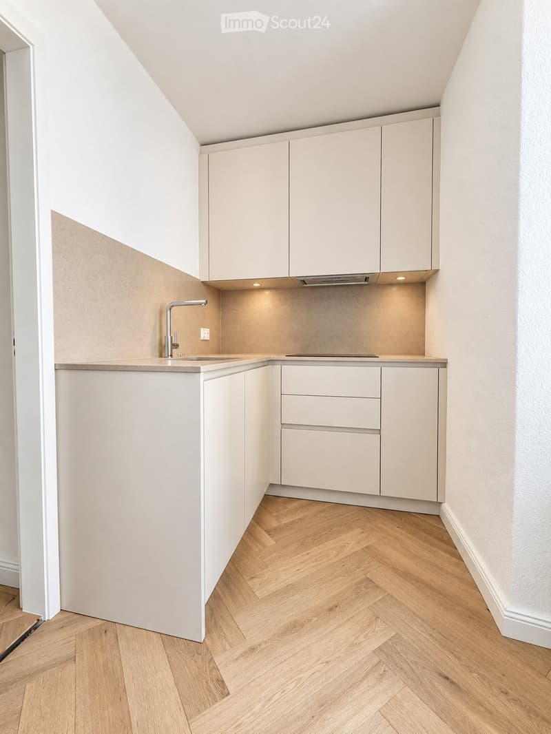 Charmant appartement 2,5p rénové avec balcon et vue sur lac (3)