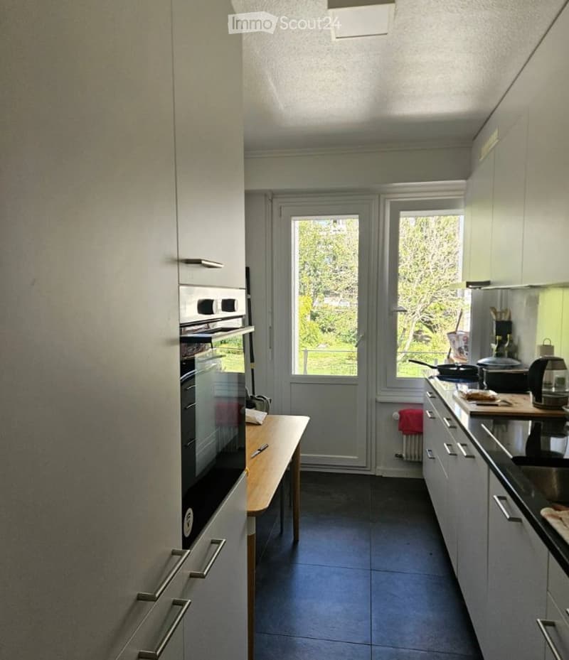 Appartement avec vue sur le Lac (5)