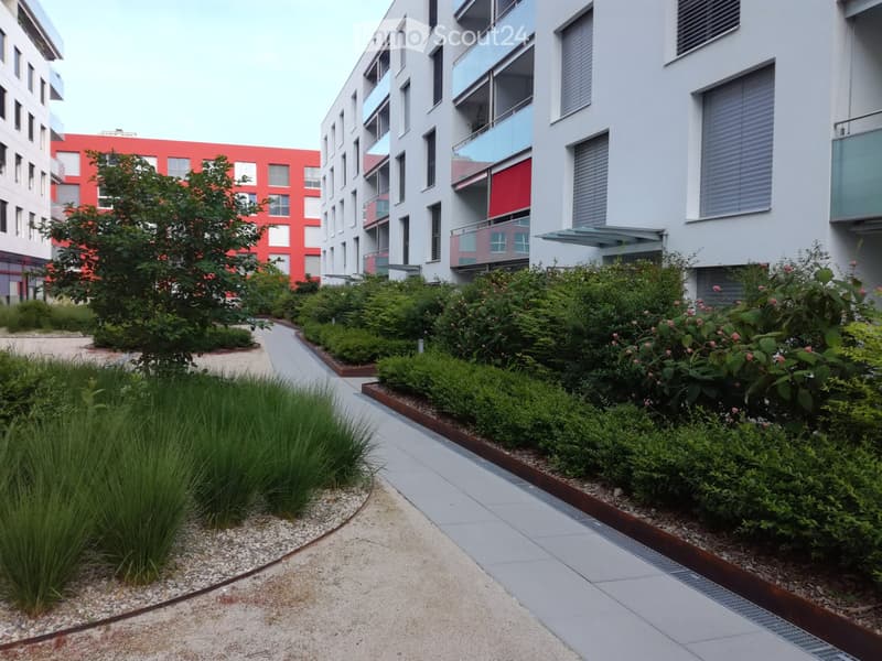 Magnifique appartement neuf de 4.5 pièces (1)