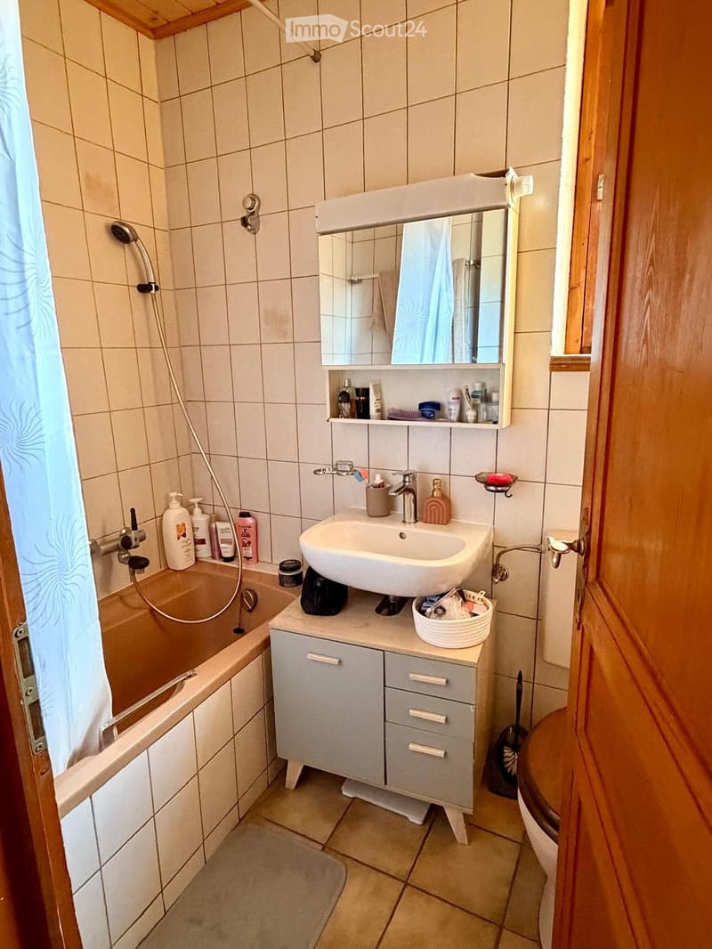 Appartment 3,5 p à louer (4)