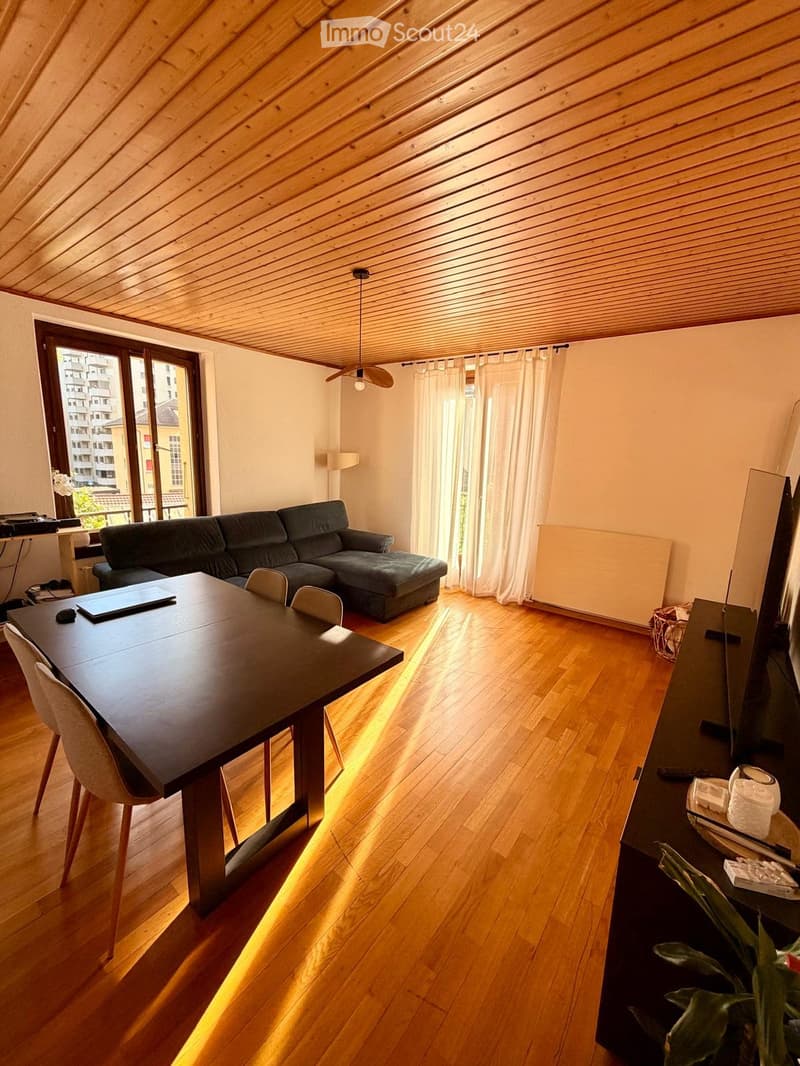 Appartment 3,5 p à louer (1)