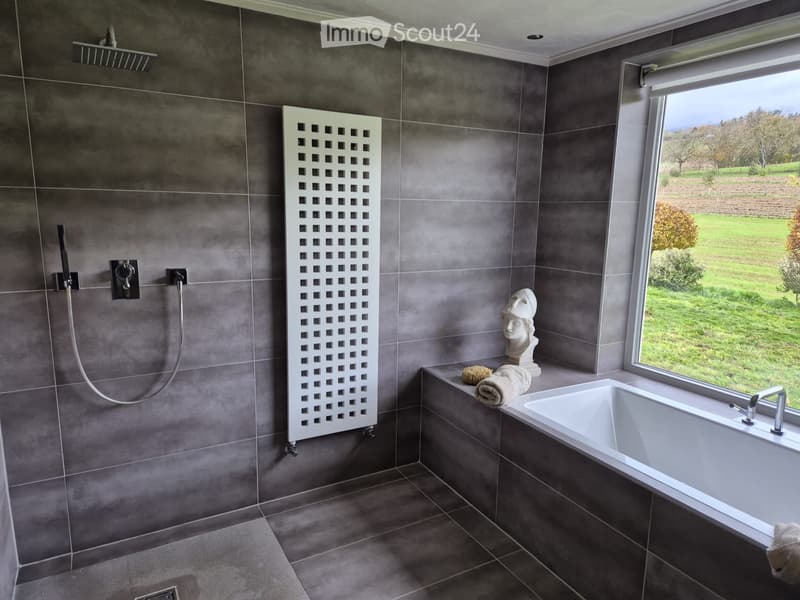 Chambre dans collocation (4)